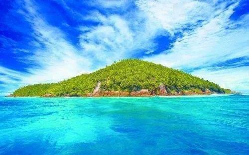 金刚鹦鹉逃生